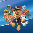 Play Paw Patrol Fun 