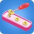 Play Screw Puzzle