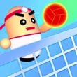 Play Volleyball 3D Online