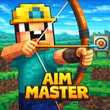 Play Aim Master Online