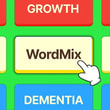 Play WordMix