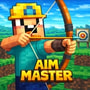 Play Aim Master Online