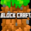 Block Craft 3D