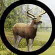 Contract Deer Hunter