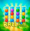 Ball Sort Puzzle