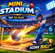 MINI STADIUM