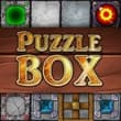 Puzzle Box