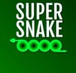 Super Snake Io Online