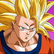 Dragon Ball Fierce Fighting 4