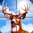 Deer Hunter Training Camp