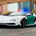 Dubai Police Parking 2