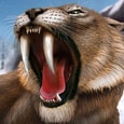 Animal Safari Hunting