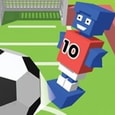 Flip Goal