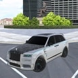 Tamaev Drive Online