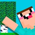 Noob on Skyblock