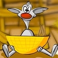 Binki. On the chicken farm