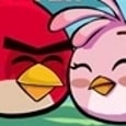 Angry Birds Take A Shower