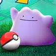 Pokémon Diabound