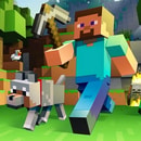 Minecraft Count