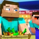 Steve and Noob's Shop