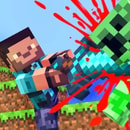 Minecraft Playground