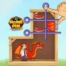 HOME PIN