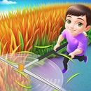 Grass Land