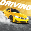 City Car Driving Simulator