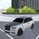 Tamaev Drive Online
