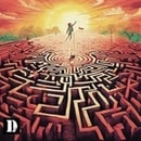 Survive in the maze
