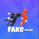 Fake Ninjas