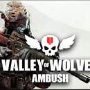 Valley of Wolves Ambush