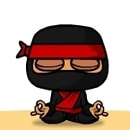 Sloppy Ninja Destiny