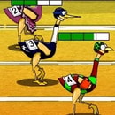 Big Birds Racing