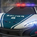 Dubai Police Supercars Rally