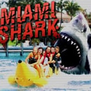 Assassin shark
