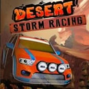 Desert Storm Racing