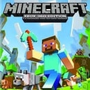 Minecraft Real