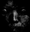 MAERE II: Hypnagogia