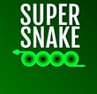 Super Snake Io Online