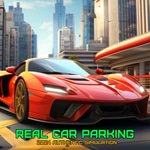 Real Car Parkin