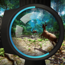Play Hunter 3D Online