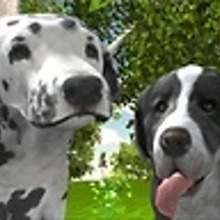 Play Dog Simulator 3D Online