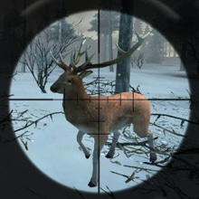 Play Forest Hunter Online