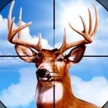 Play Deer Hunter Training Camp Online