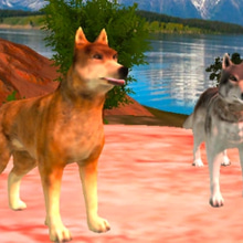 Play Wild Wolves Online