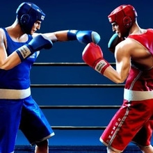 Play Punchers Online