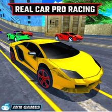 Play Real Car Pro Racing Online