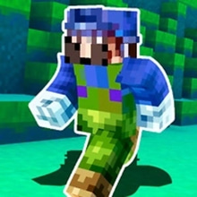 Play Craft Bros Run Online