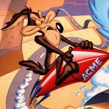 Play Coyote´s Chase Online